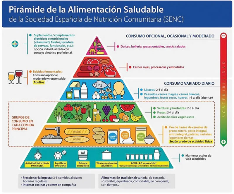 Pirámide alimentación 2019