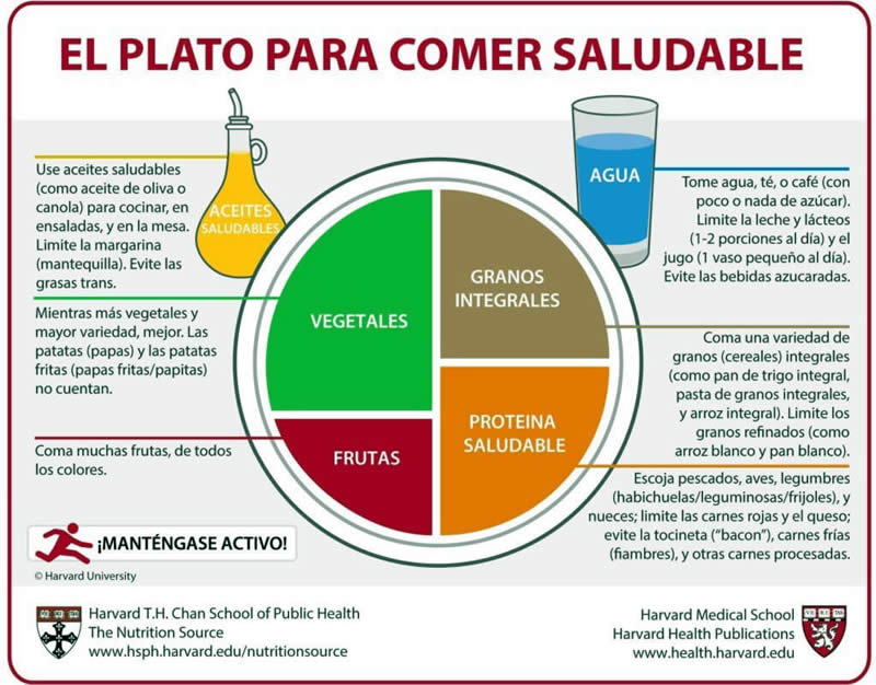 El plato saludable de Harvard